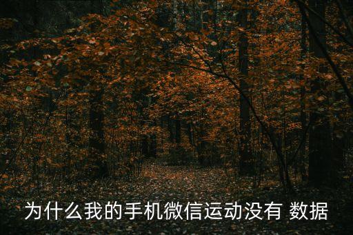 健康沒(méi)數(shù)據(jù)來(lái)源,蘋果手機(jī)健康數(shù)據(jù)來(lái)源在哪里