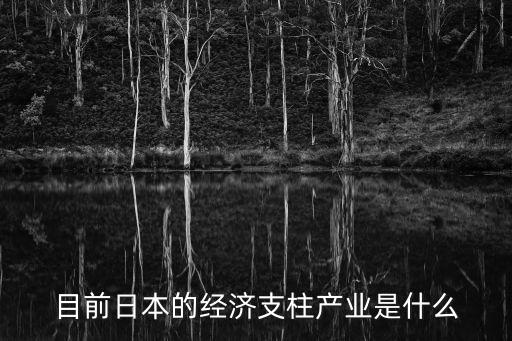 機(jī)器人曰本市場(chǎng),小愈機(jī)器人的市場(chǎng)評(píng)價(jià)