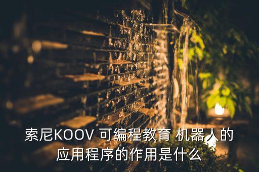 索尼KOOV 可編程教育 機(jī)器人的應(yīng)用程序的作用是什么
