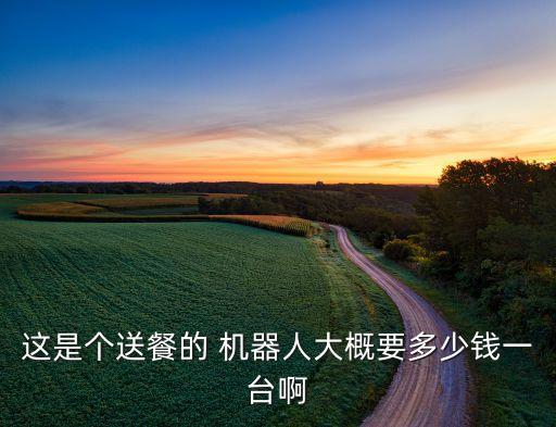 這是個送餐的 機器人大概要多少錢一臺啊