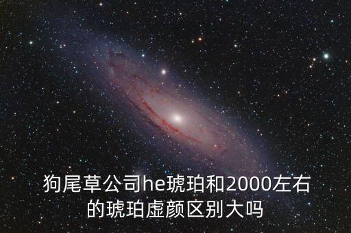  狗尾草公司he琥珀和2000左右的琥珀虛顏區(qū)別大嗎