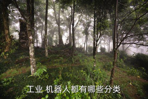 工業(yè) 機(jī)器人都有哪些分類