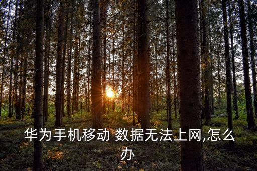 華為數(shù)據(jù)網(wǎng)絡(luò)權(quán)限在哪,華為手機(jī)移動數(shù)據(jù)權(quán)限怎么設(shè)置