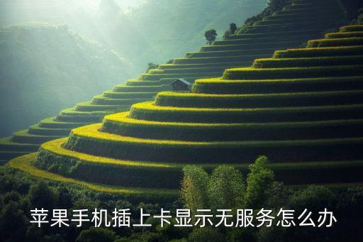  蘋(píng)果手機(jī)插上卡顯示無(wú)服務(wù)怎么辦