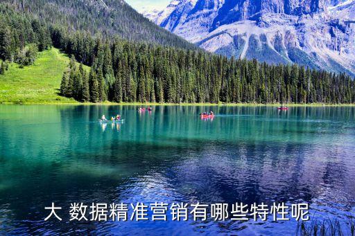 大 數(shù)據(jù)精準營銷有哪些特性呢