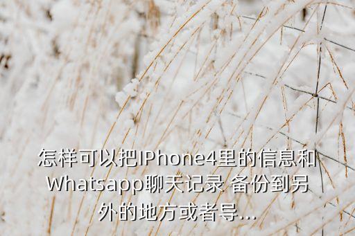 怎樣可以把IPhone4里的信息和Whatsapp聊天記錄 備份到另外的地方或者導(dǎo)...