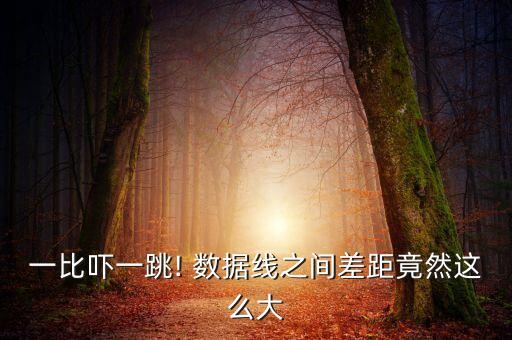 一比嚇一跳! 數(shù)據(jù)線之間差距竟然這么大