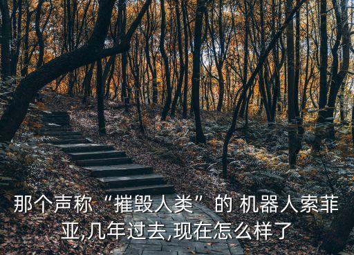 那個聲稱“摧毀人類”的 機器人索菲亞,幾年過去,現(xiàn)在怎么樣了