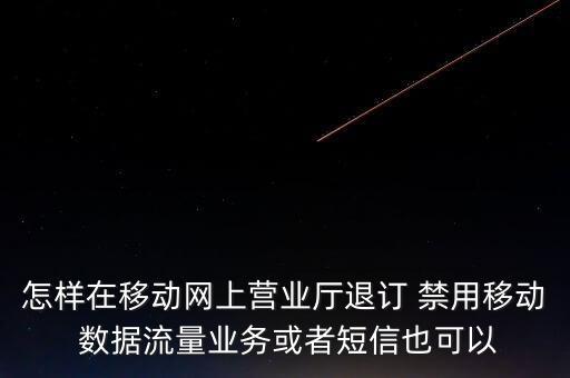 怎樣在移動網上營業(yè)廳退訂 禁用移動 數據流量業(yè)務或者短信也可以