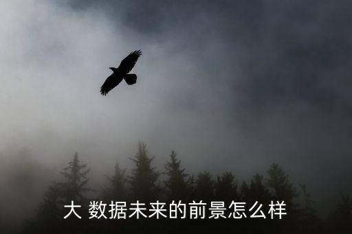大 數(shù)據(jù)未來的前景怎么樣