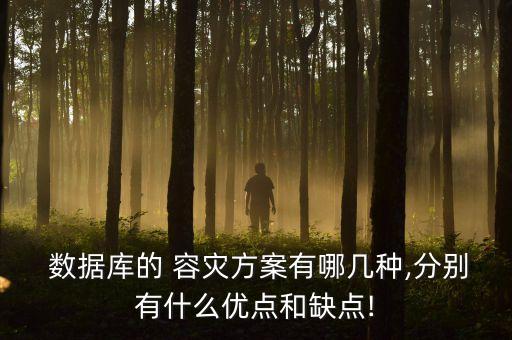  數(shù)據(jù)庫(kù)的 容災(zāi)方案有哪幾種,分別有什么優(yōu)點(diǎn)和缺點(diǎn)!