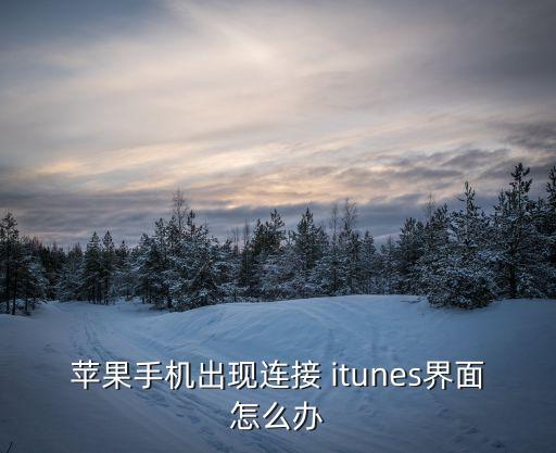 蘋果手機(jī)出現(xiàn)連接 itunes界面怎么辦