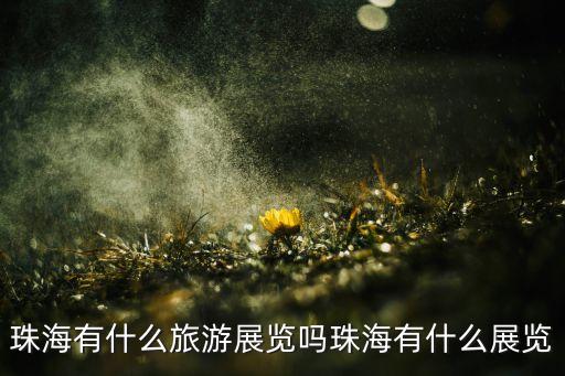 珠海有什么旅游展覽嗎珠海有什么展覽