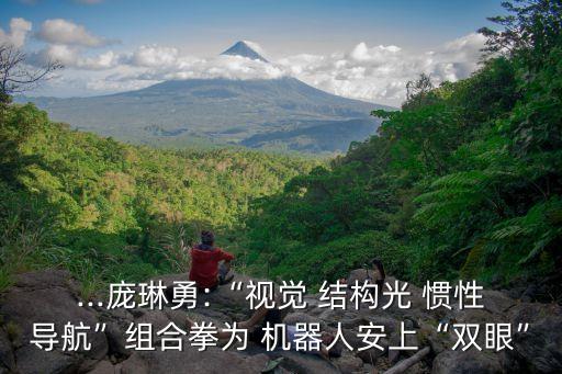 ...龐琳勇:“視覺 結(jié)構(gòu)光 慣性導(dǎo)航”組合拳為 機(jī)器人安上“雙眼”