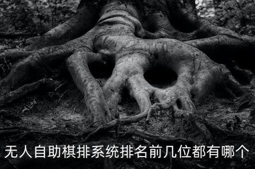 無人自助棋排系統排名前幾位都有哪個