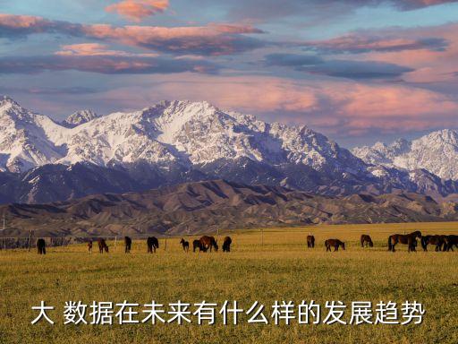 大數據形態(tài),數據新聞的三種形態(tài)