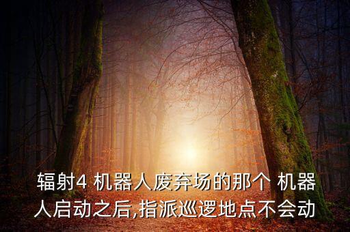 輻射4機(jī)器人關(guān)懷