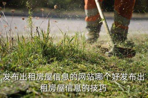 發(fā)布出租房屋信息的網(wǎng)站哪個好發(fā)布出租房屋信息的技巧