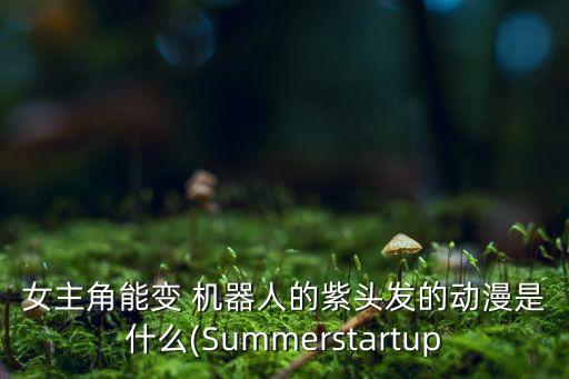 女主角能變 機器人的紫頭發(fā)的動漫是什么(Summerstartup