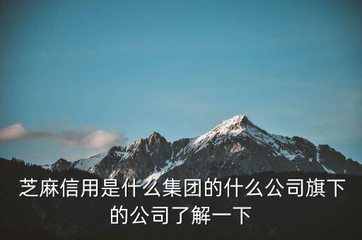  芝麻信用是什么集團(tuán)的什么公司旗下的公司了解一下