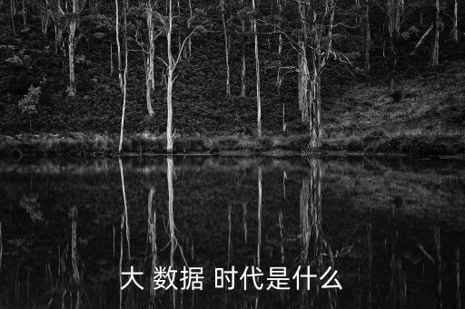大 數(shù)據(jù) 時(shí)代是什么