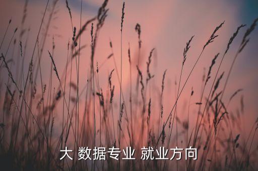 大 數(shù)據(jù)專業(yè) 就業(yè)方向
