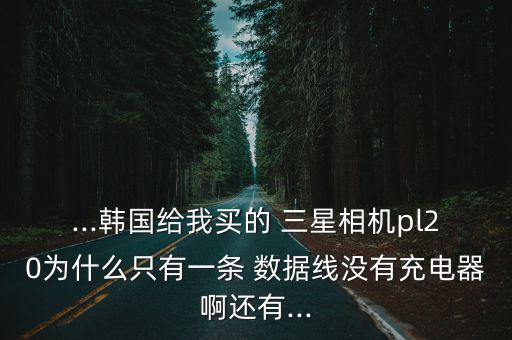 ...韓國(guó)給我買的 三星相機(jī)pl20為什么只有一條 數(shù)據(jù)線沒有充電器啊還有...