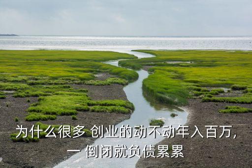 為什么很多 創(chuàng)業(yè)的動(dòng)不動(dòng)年入百萬,一 倒閉就負(fù)債累累