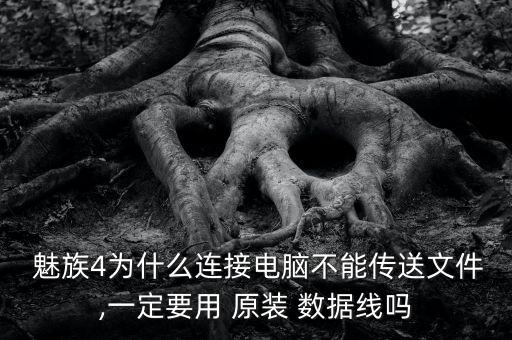 魅族不用原裝數(shù)據(jù)線,魅族18原裝數(shù)據(jù)線是多少A的