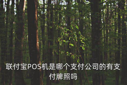 聯(lián)付寶POS機(jī)是哪個(gè)支付公司的有支付牌照嗎