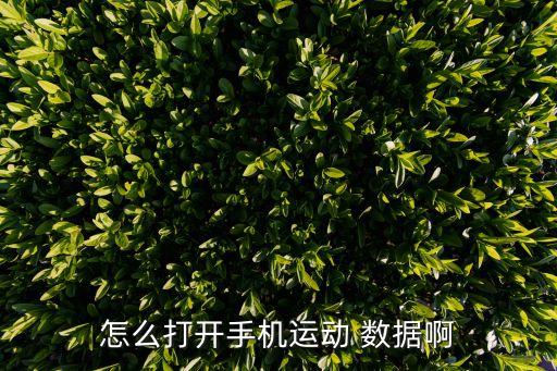 怎么打開手機運動 數(shù)據(jù)啊