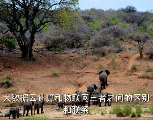 大數(shù)據(jù)網(wǎng),中國大數(shù)據(jù)網(wǎng)