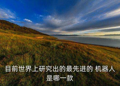 目前世界上研究出的最先進(jìn)的 機(jī)器人是哪一款