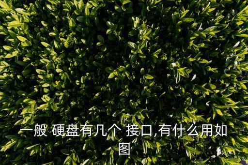 一般 硬盤有幾個(gè) 接口,有什么用如圖