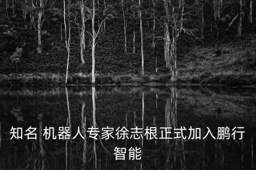 知名 機器人專家徐志根正式加入鵬行智能