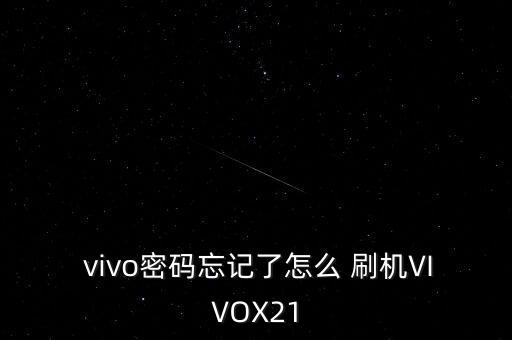 vivo怎么刷機(jī)清除數(shù)據(jù)