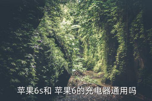  蘋果6s和 蘋果6的充電器通用嗎