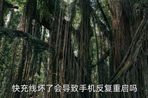  快充線壞了會導致手機反復重啟嗎