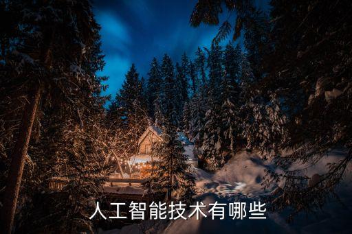  人工智能技術(shù)有哪些