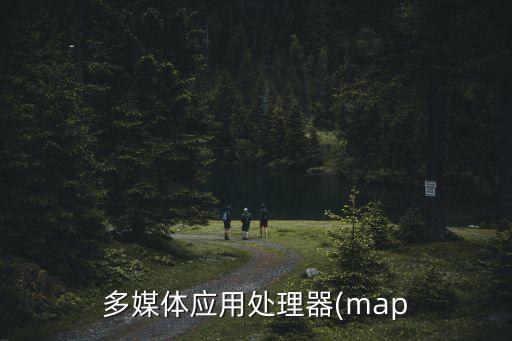 多媒體應用處理器(map