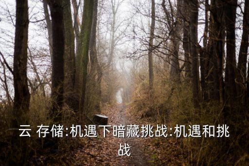 云 存儲:機遇下暗藏挑戰(zhàn):機遇和挑戰(zhàn)