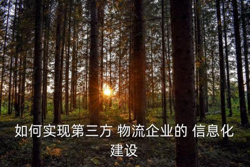 如何實(shí)現(xiàn)第三方 物流企業(yè)的 信息化建設(shè)