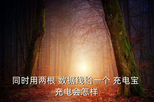 同時用兩根 數(shù)據(jù)線給一個 充電寶 充電會怎樣