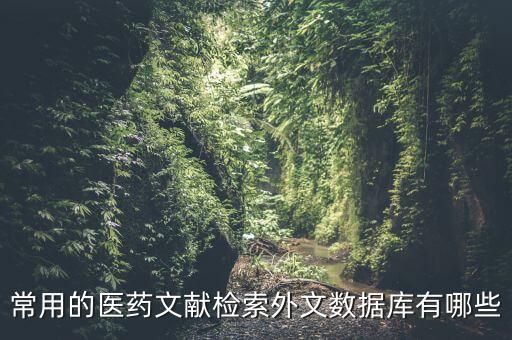 常用的醫(yī)藥文獻(xiàn)檢索外文數(shù)據(jù)庫(kù)有哪些