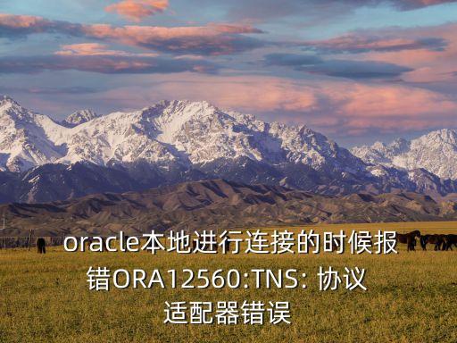 oracle數(shù)據(jù)庫協(xié)議,Oracle數(shù)據(jù)庫是什么