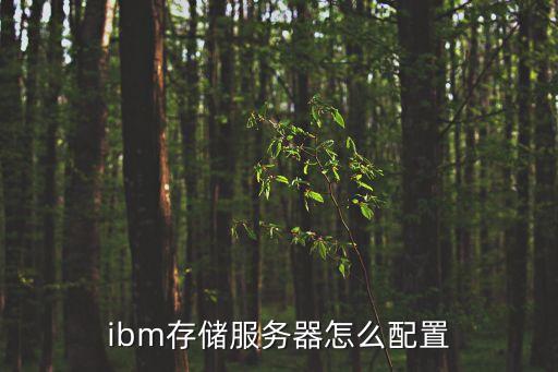 ibm存儲服務(wù)器怎么配置