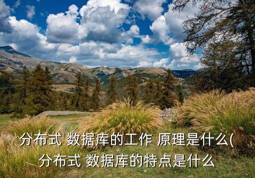 數(shù)據(jù)庫回檔原理,游戲回檔是什么原理