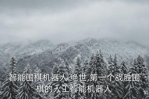 智能圍棋機(jī)器人 絕世,第一個戰(zhàn)勝圍棋的人工智能機(jī)器人