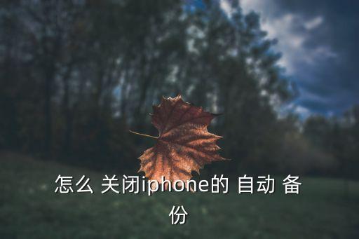 怎么 關(guān)閉iphone的 自動(dòng) 備份