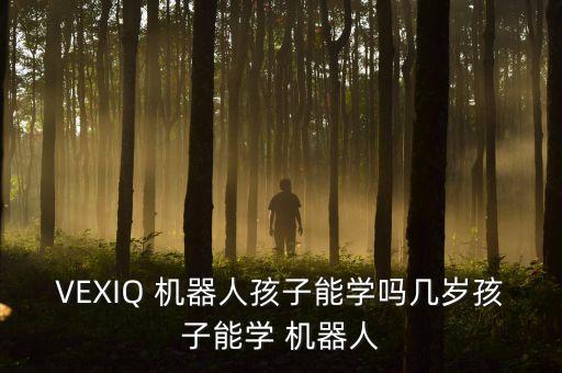VEXIQ 機器人孩子能學(xué)嗎幾歲孩子能學(xué) 機器人